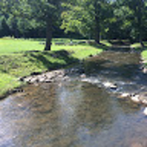 gabriellenolder